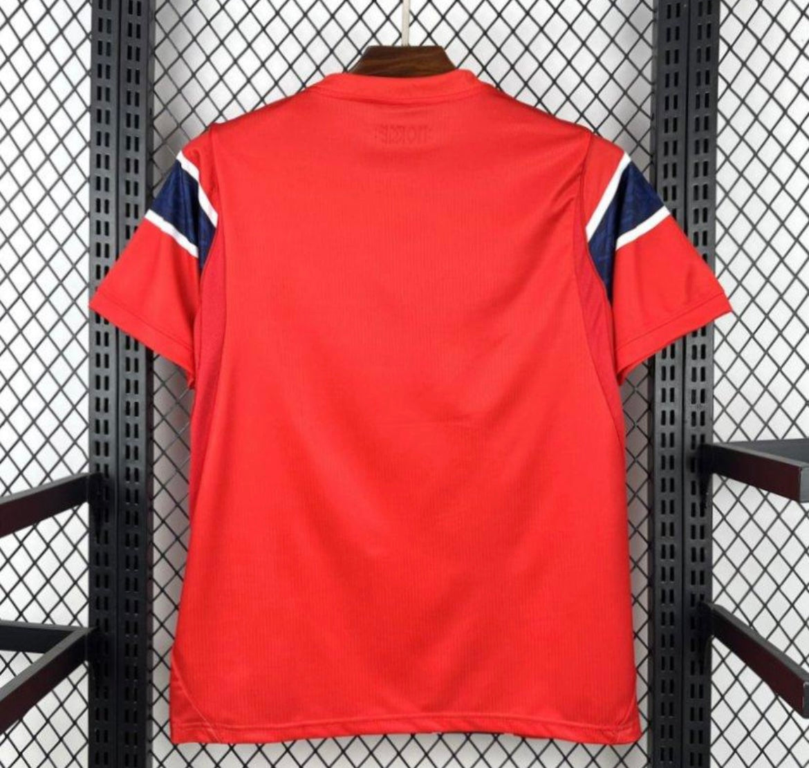 Maillot Norvège domicile 26