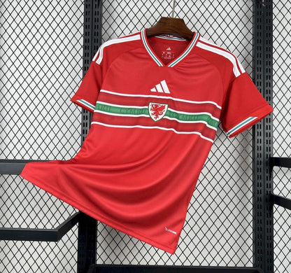 Maillot Pays de Galles domicile 26