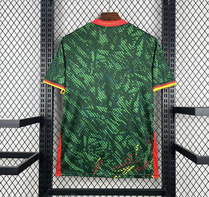 Maillot Cameroun domicile 26